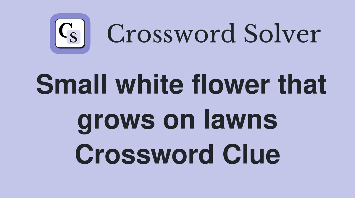 Small white flower that grows on lawns Crossword Clue Answers